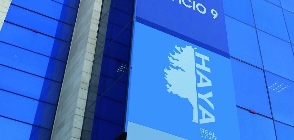 Haya se adjudica un contrato de Endesa para la gestión de parte de su cartera inmobiliaria